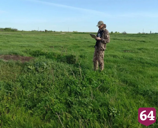 В Саратовской области посчитали сурков 